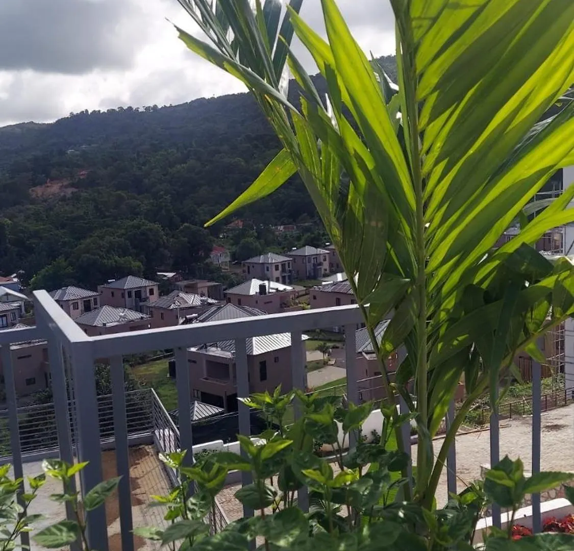 Ocho Rios Haven别墅 牙买加